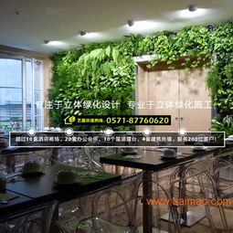 杭州植物墻與綠墻設(shè)計施工全解析 從專業(yè)設(shè)計到價格咨詢